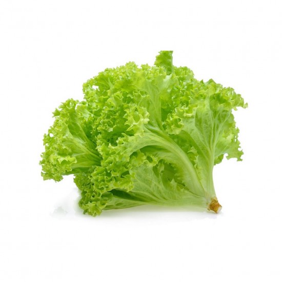 Kıvırcık (Adet) Kıvırcık (Adet)