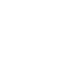 Domates (Kokteyl 500 Gr Paket)